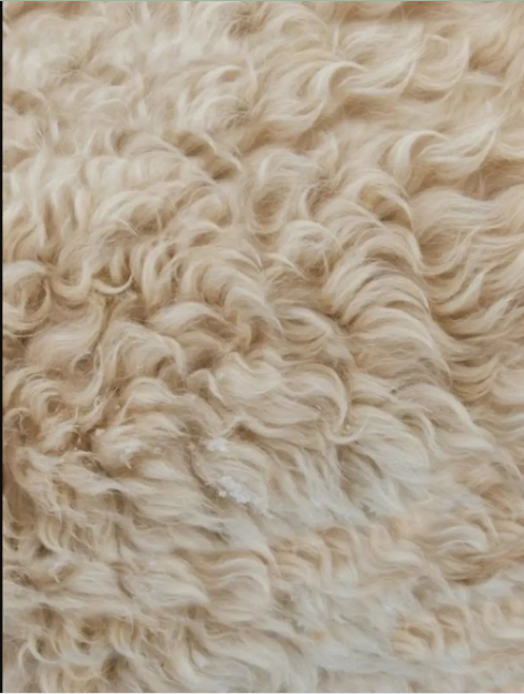 Vải từ lông cừu